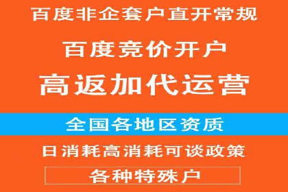 案例剖析：关键词竞价排名成功之道